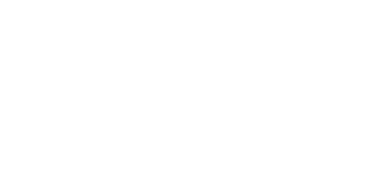 light logo